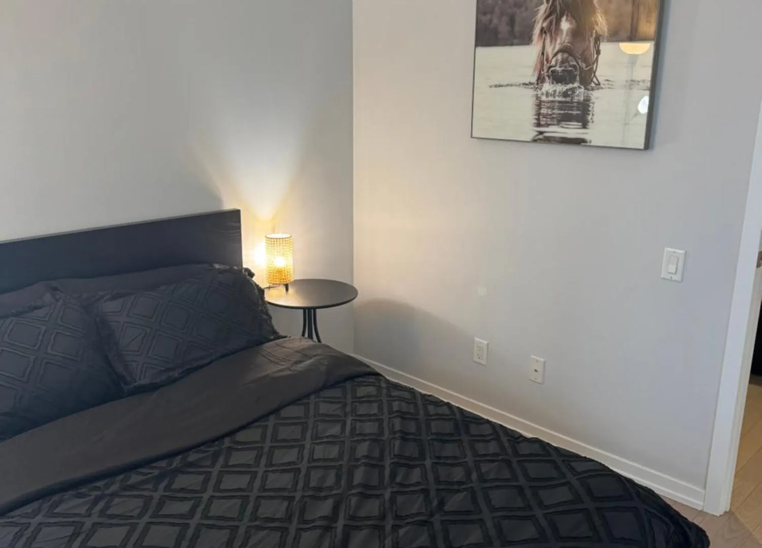 Cozy 1 Bedroom Downtown Toronto